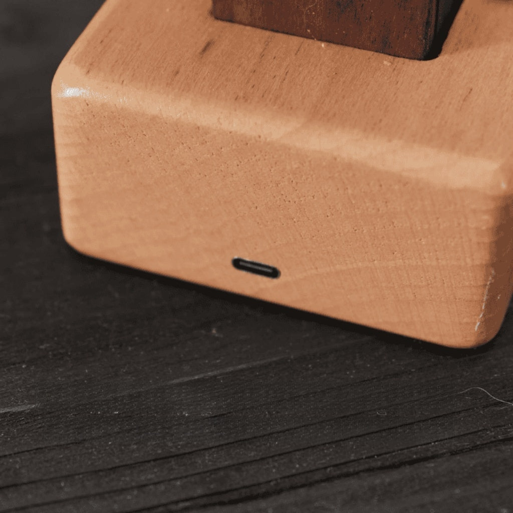 Wooden Manta Ray Automaton